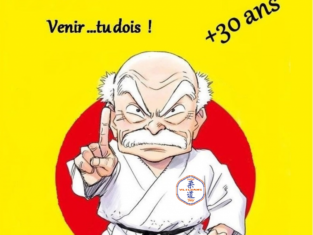 Image de l'actu 'REGROUPEMENT “TARN JUDO VETERANS”'