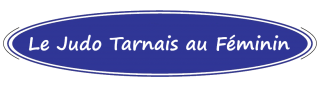 Image de l'actu 'Cours départemental de Taïso'
